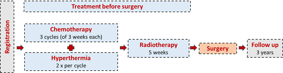 SAKK 57/24 Traitment plan