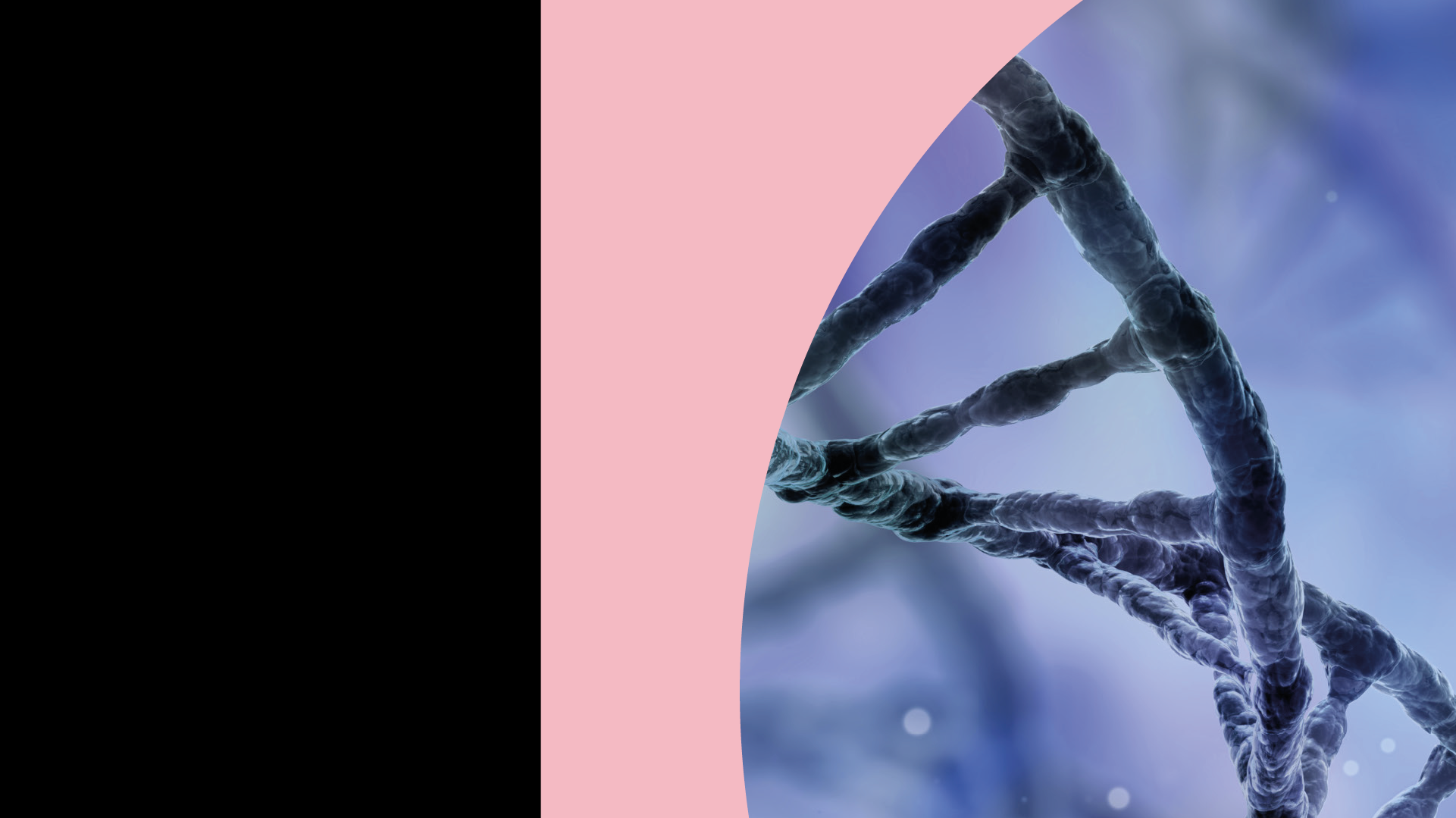 Visual Genetic Updte